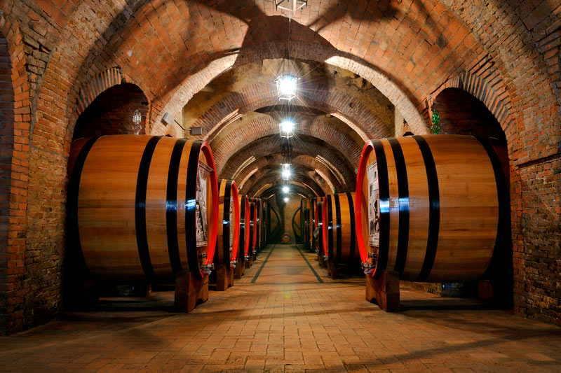 Visita a bodegas en Valladolid, recorre las bodegas de la Ribera del Duero