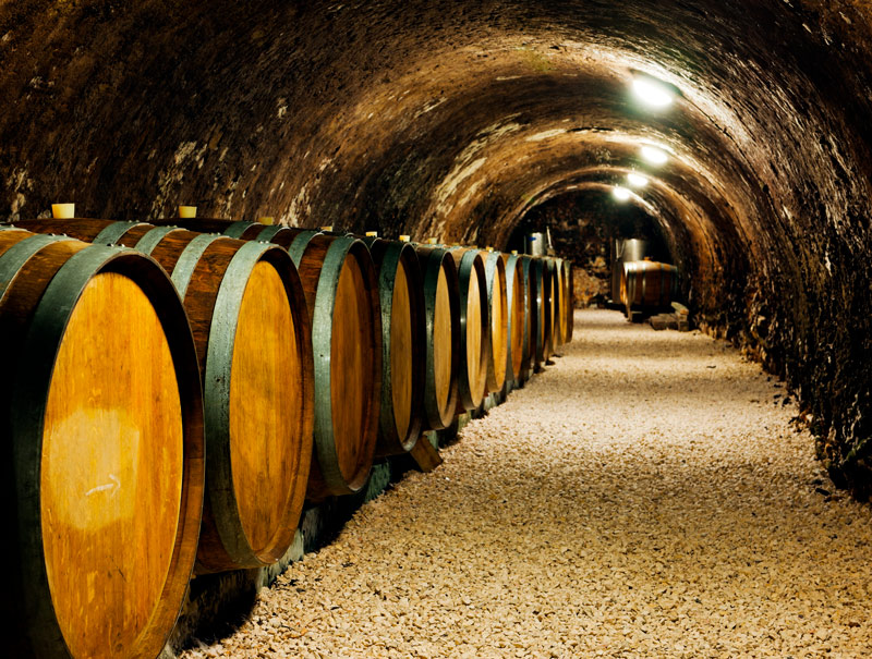 Enoturismo en Castilla y León con chófer privado