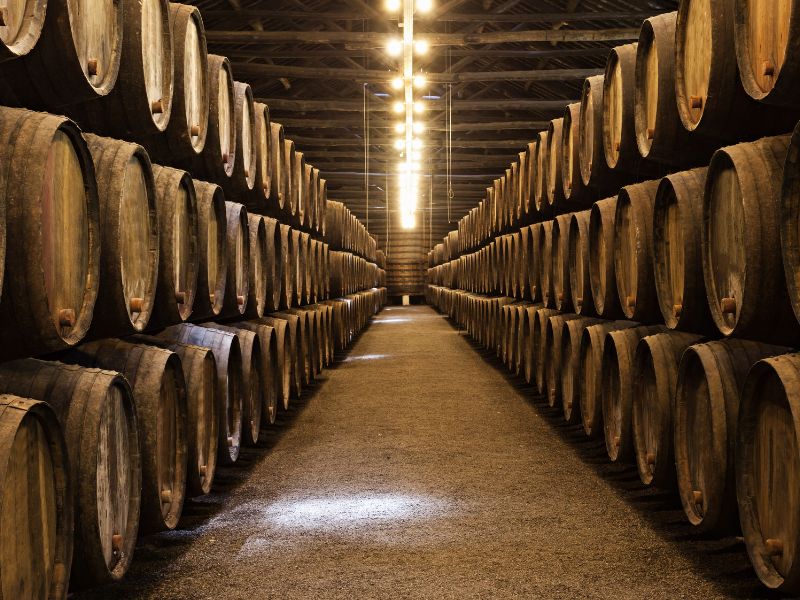 Visita las bodegas de Ribera de Duero