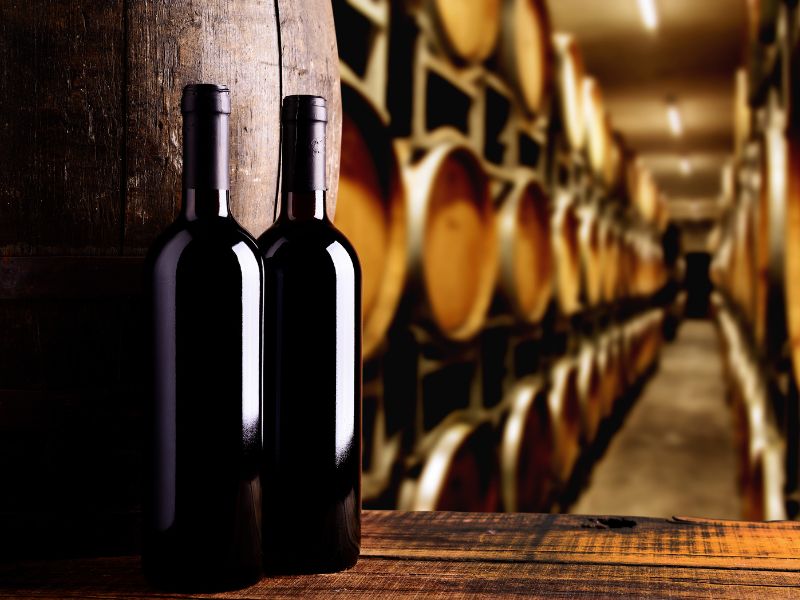 Viaje a las bodegas de Vega Sicilia