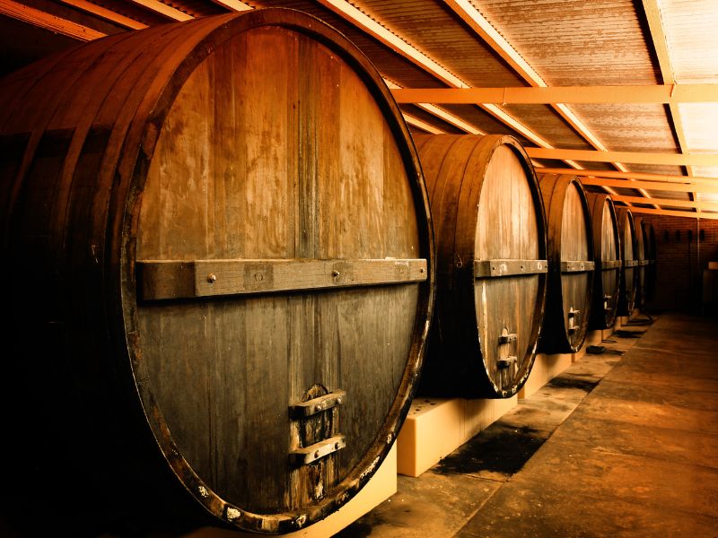 Visita las bodegas Yllera