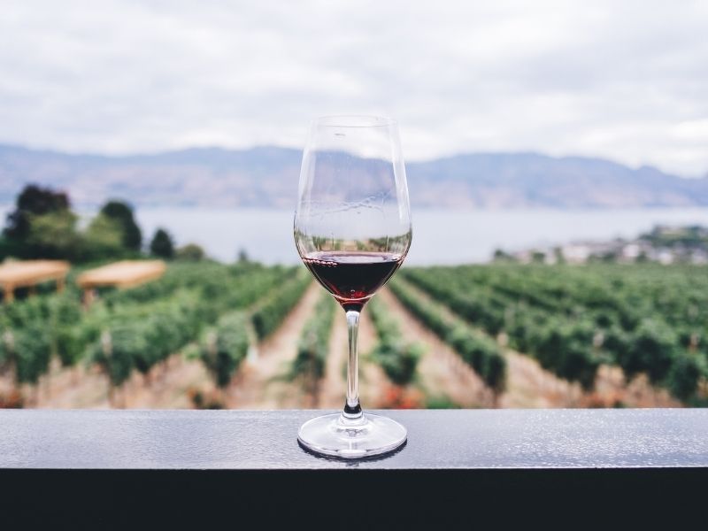 Visitas a la bodega Protos