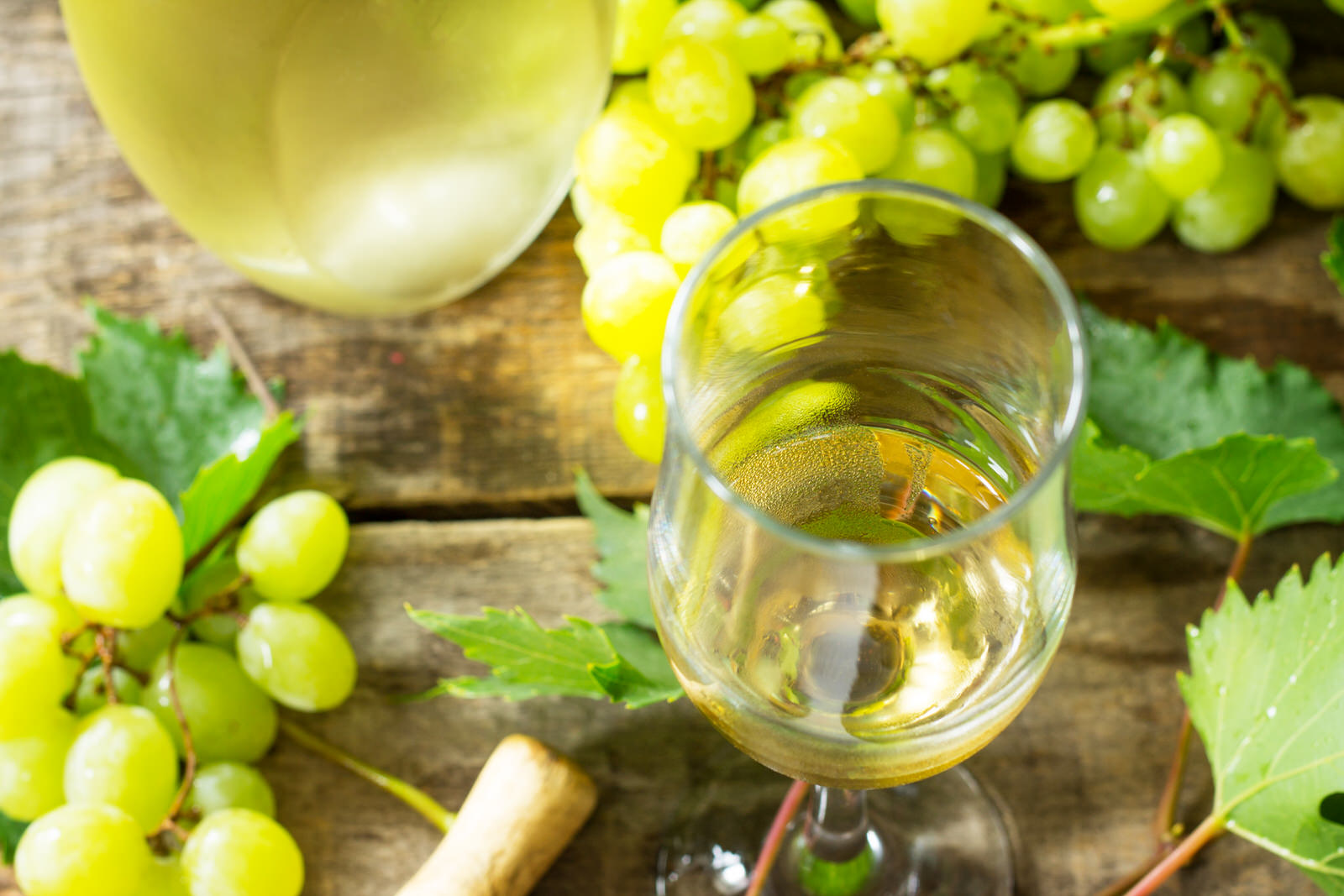 Descubre la D.O. Rueda: enoturismo, historia y experiencias