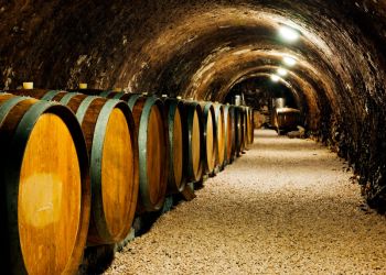Enoturismo en Castilla y León con chófer privado
