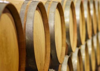 Visitas a la bodega Abadía Retuerta