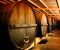 Visita las bodegas Yllera