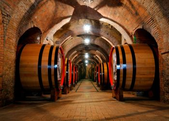 Visita a bodegas en Valladolid, recorre las bodegas de la Ribera del Duero
