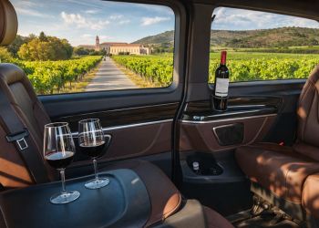 Enoturismo en Valladolid con chófer privado: disfruta de las bodegas sin preocuparte por el transporte