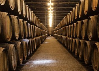 Chófer privado bodegas de Ribera de Duero