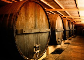 Visita las bodegas Yllera