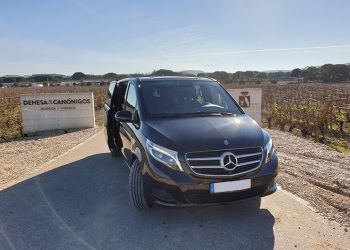Enoturismo en la provincia de Valladolid · Transfer VIP Valladolid
